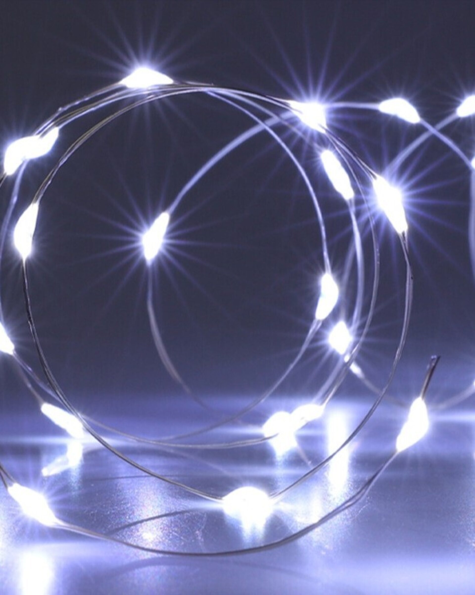 Guirnalda 160 microLED Blanco Frío - 2